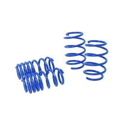 Manzo Lowering Springs 11-14 Lexus Ct200H 1.8L Zwa10